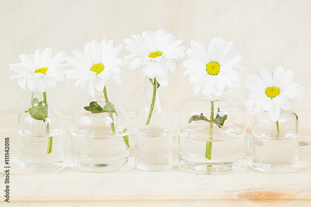 Spring white flowers on a wooden background. Copy space. Background. Pattern. Texture.