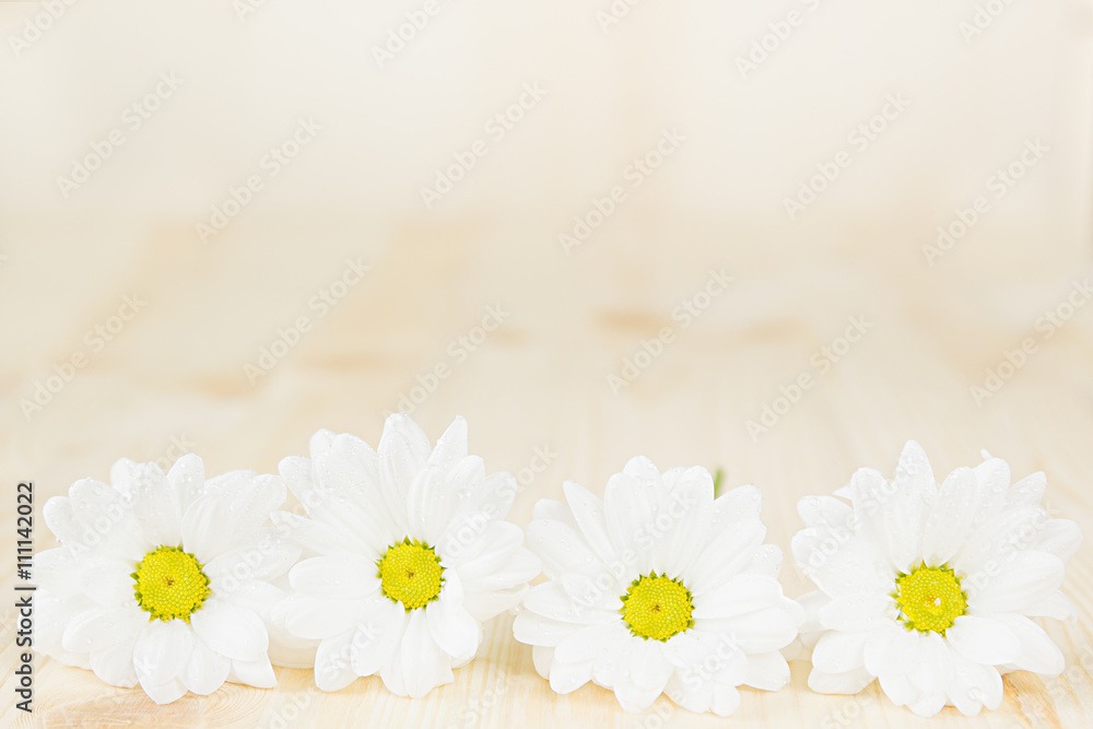 Spring white flowers on a wooden background. Copy space. Background. Pattern. Texture.