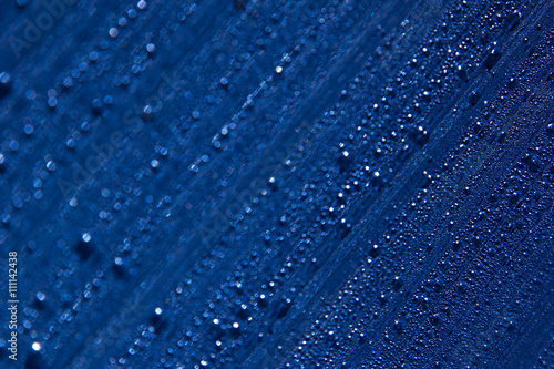 Water drops on the background. Condensate. Dark blue background. Water drops background. © finepoints