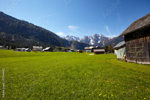 Idyllic landscape in the Alps with fresh green meadows and bloom