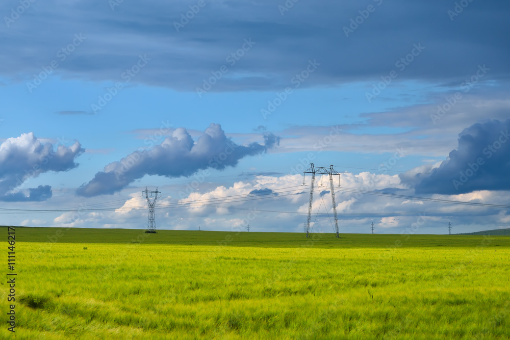 Electric power lines in rape field after summer storm Electric power lines in rape field after summer storm