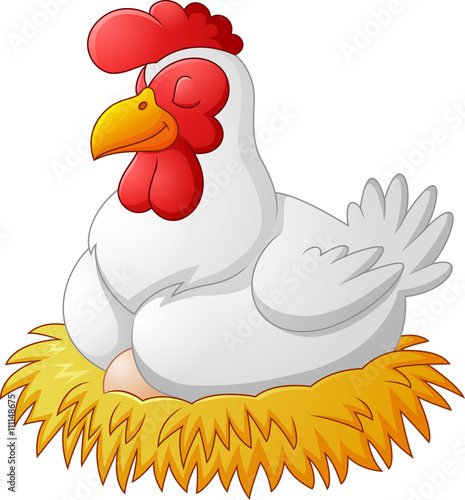 Cute hen brooding her egg