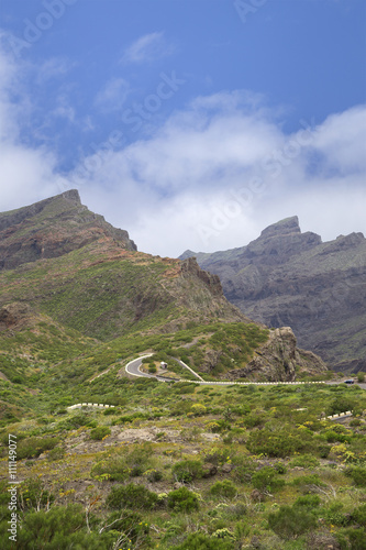 View of Masca village with palms and mountains