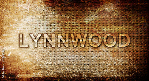 lynnwood, 3D rendering, text on a metal background photo