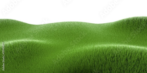 3d grass photo