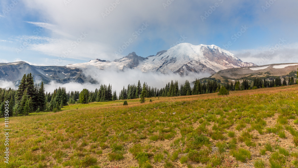Amazing view at the snowy peaks which rose against the blue of a cloudless sky. Summer landscape in mountains. MOUNT FREMONT LOOKOUT TRAIL, Sunrise Area, Mount Rainier