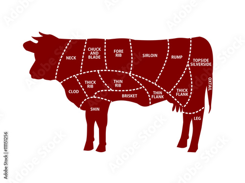 Beef cuts vector illustration
