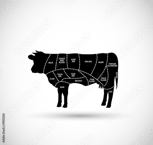 Beef cuts vector illustration