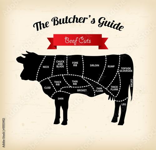 Beef cuts vector illustration