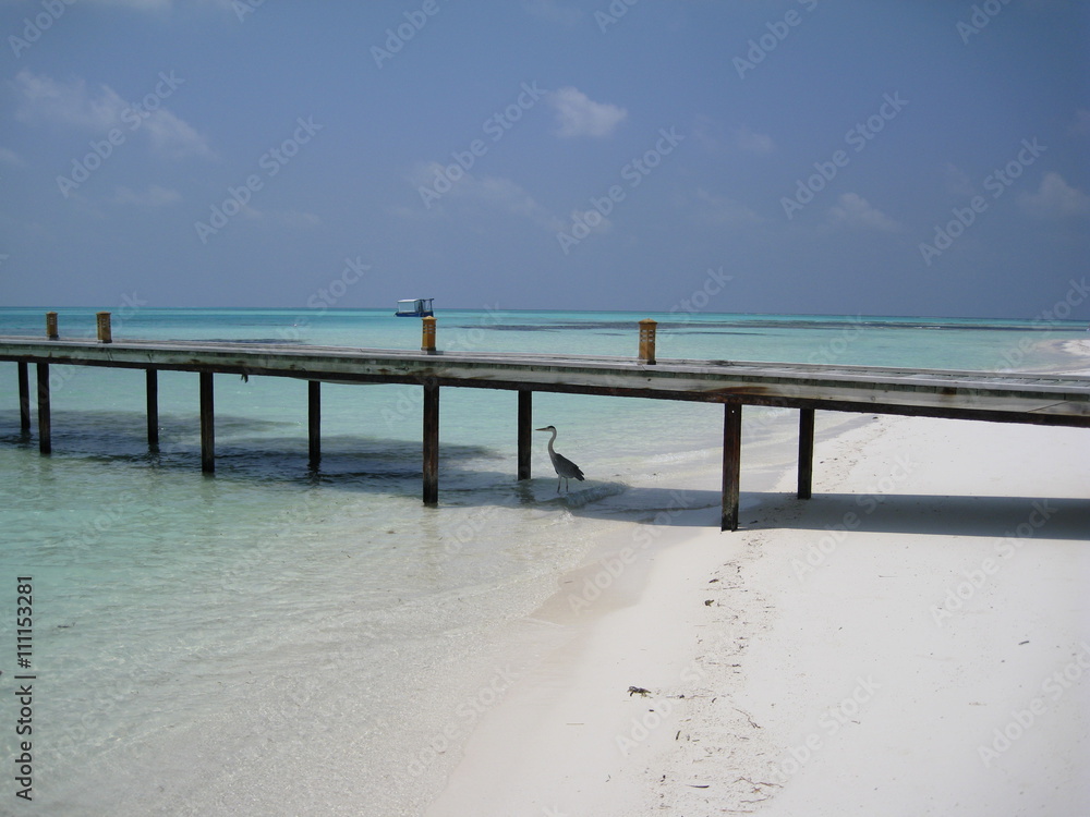 Starnd auf den Malediven mit Steg und Reiher