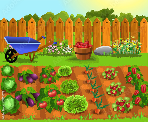 fruits and vegetables garden