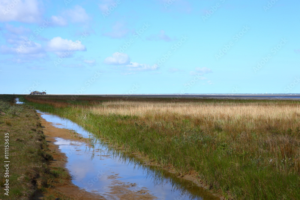 Island/ landscape of the Island of Schiermonnikoog in the Netherlands