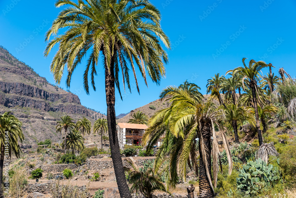 Small stone house in Valley Ayagaures of gran canaria, spain Small stone house in Valley Ayagaures of gran canaria, spain