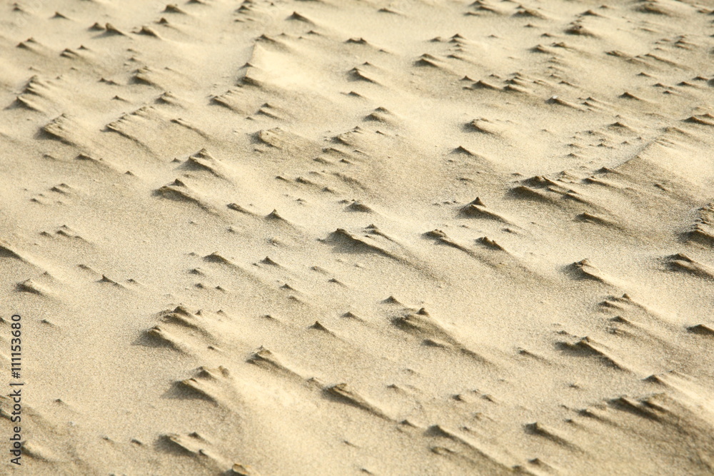 background of sand/small sand dunes formed by the wind background of sand/small sand dunes formed by the wind