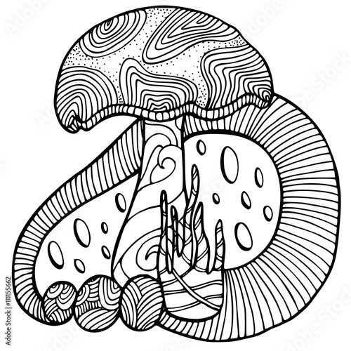 Zentangle stylized mushroom. adult anti stress Coloring Page