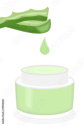 the aloe vera