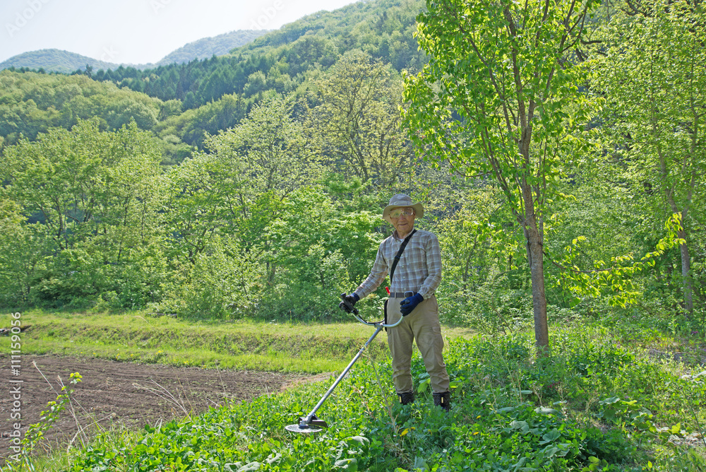 草刈りをしているシニア 草刈りをしているシニア