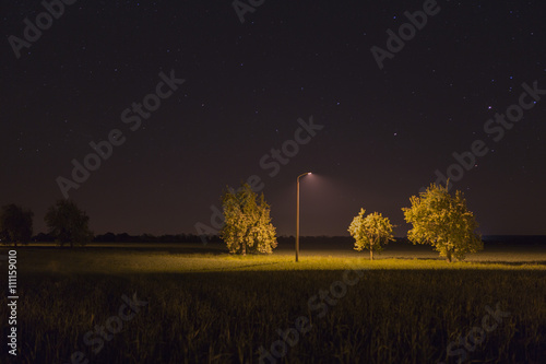 street light by night