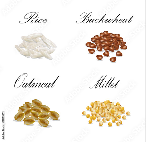 Millet, buckwheat, oatmeal, millet set illustration vector