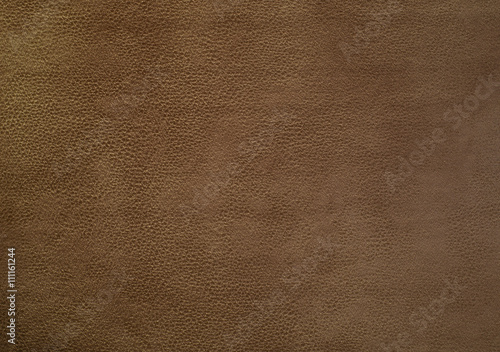 Brown leather chamois © brostock