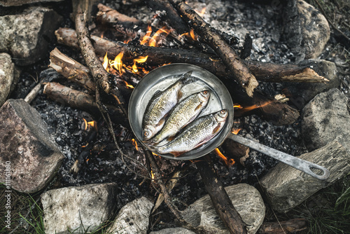 Fisch,Zweig,kochen,zubereiten,Natur,Lagerfeuer,Niemand photo