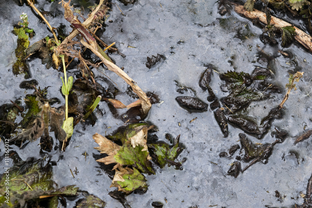 Mud soil decay dead flowers dark floods Mud soil decay dead flowers dark floods