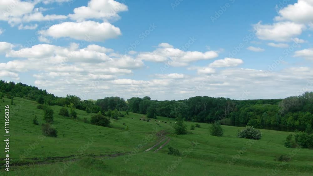 Green meadow hills timelapse with clouds Green meadow hills timelapse with clouds