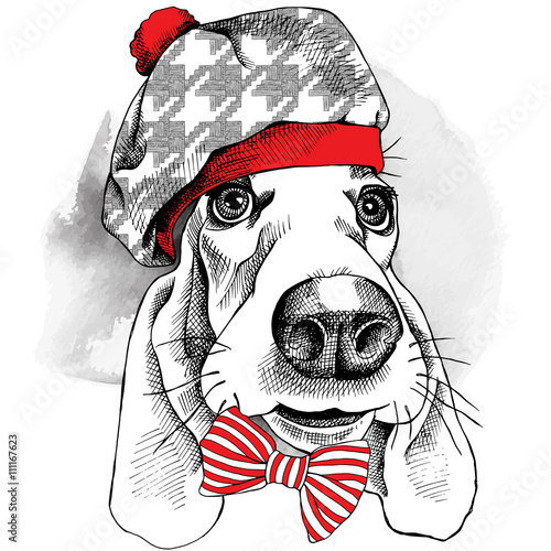 The image Portrait of dog Basset Hound in a beret hat and with bow. Vector illustration.