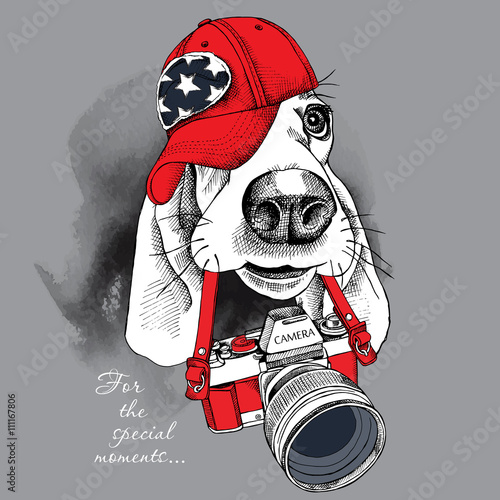 The poster with the image of the dog Basset Hound with the camera. Vector illustration.