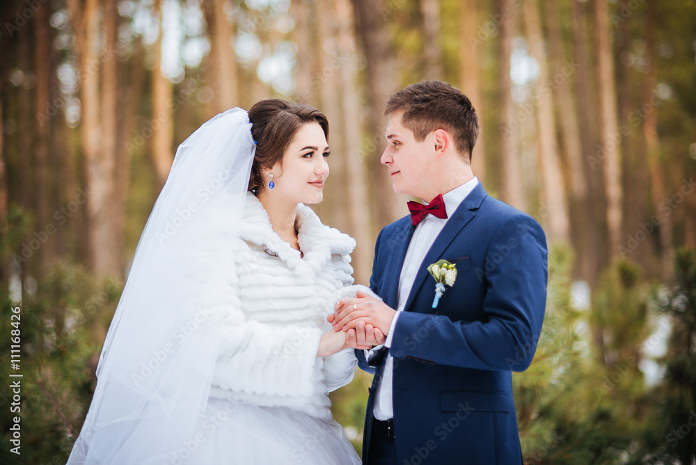 Happy bride and groom in winter day on their wedding Happy bride and groom in winter day on their wedding