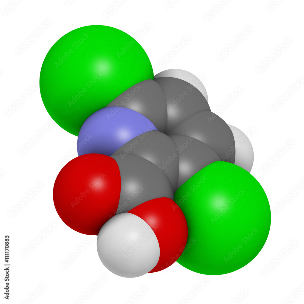 Clopyralid herbicide molecule. 3D rendering. Clopyralid herbicide molecule. 3D rendering.