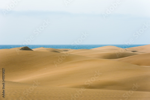 Desert with sand dunes in Gran Canaria  Spain