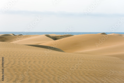 Desert with sand dunes in Gran Canaria  Spain