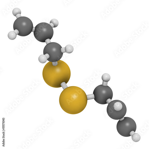 Diallyl disulfide garlic molecule. 3D rendering.   photo