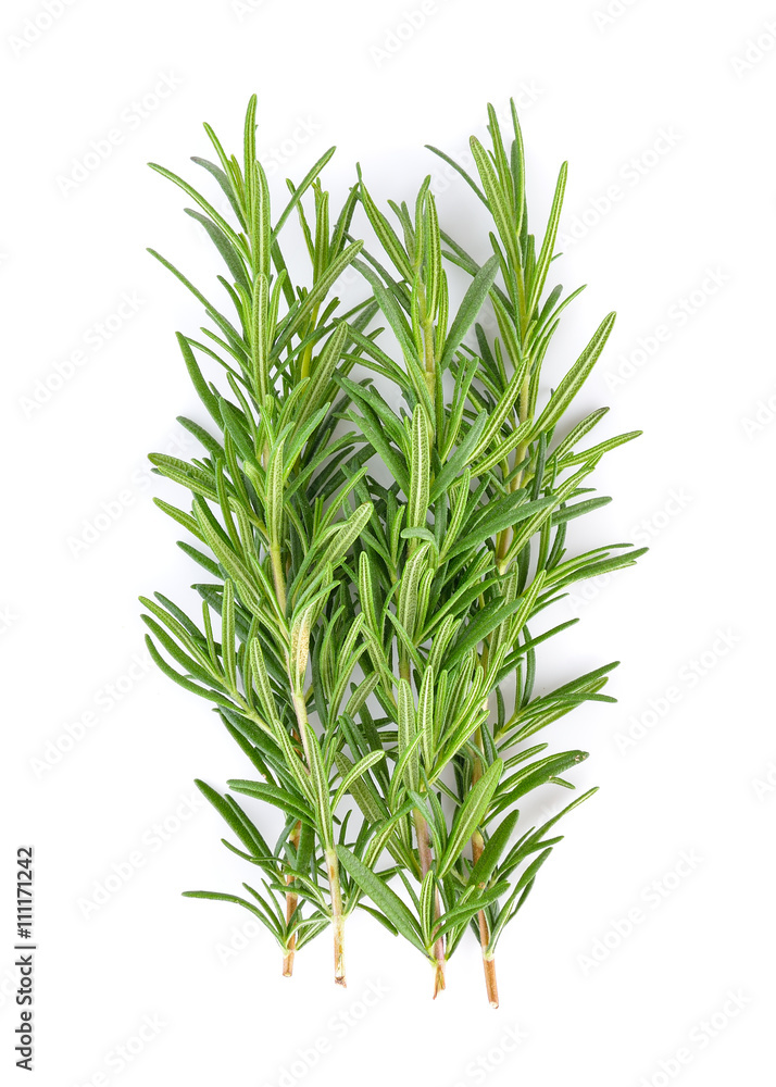 Fototapeta premium rosemary on white background