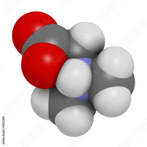 Dimethylglycine (DMG) molecule. 3D rendering.   photo