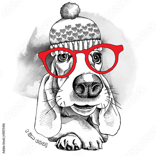 The poster dog Basset Hound portrait in the knitted hat and with glasses. Vector illustration.