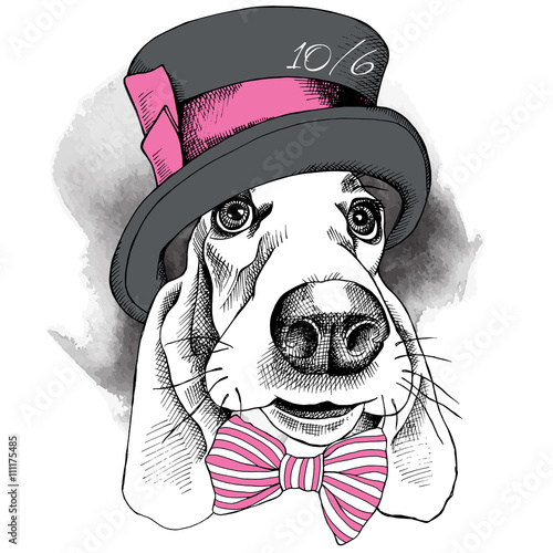 The image with the portrait of a dog in the Hatter hat and with bow. Vector illustration.