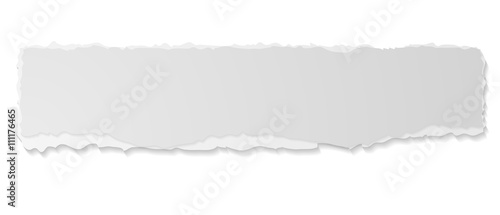 Grey ripped paper edge vector banner