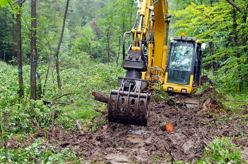 Deforestation of forest. Excavator used to dig up tree-stumps and roots after the forest was removed. 