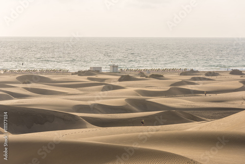Fototapeta Naklejka Na Ścianę i Meble -  Desert with sand dunes in Gran Canaria, Spain