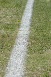 Goal line