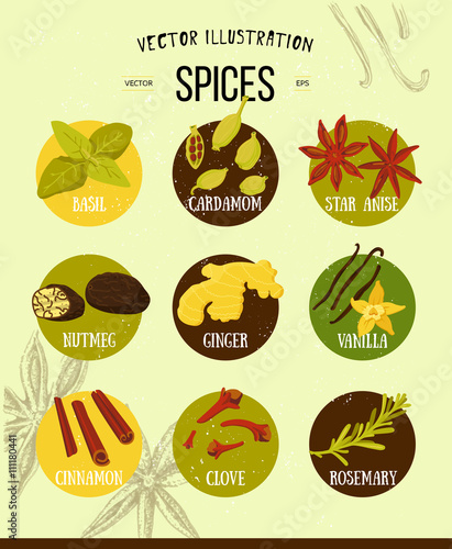 Colorful set of spices in flat style. Vector set of kitchen spices and herbs collection of stylized icons. 
