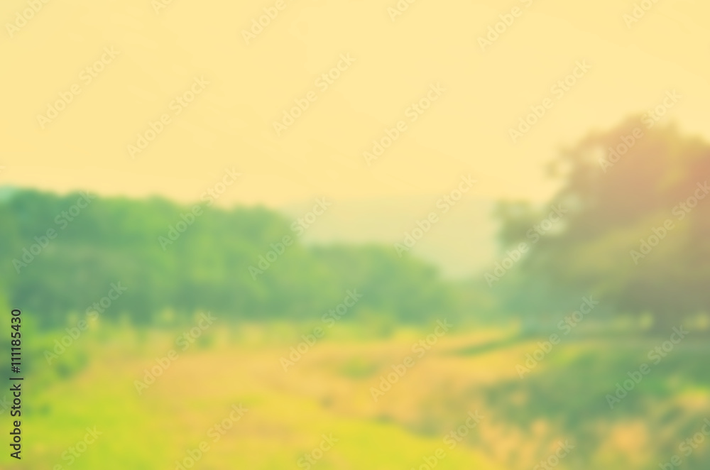 Blur walking road in nature park abstract background. Blur walking road in nature park abstract background.