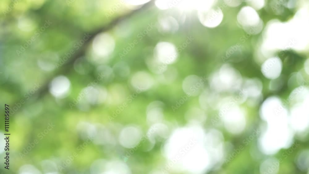 abstract summer green blur handheld video, UHD prores footage abstract summer green blur handheld video, UHD prores footage
