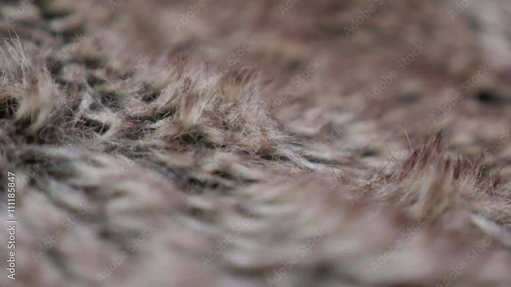 Tilting over shallow DOF fake fur fabric texture 4K 2160p 30fps UltraHD footage - Deep bokeh of synthetic fibers of fun or faux fur 4K 3840X2160 UHD slow tilt video Tilting over shallow DOF fake fur fabric texture 4K 2160p 30fps UltraHD footage - Deep bokeh of synthetic fibers of fun or faux fur 4K 3840X2160 UHD slow tilt video