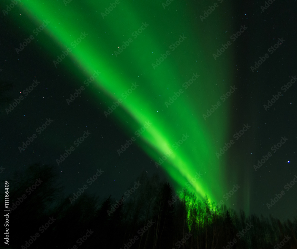 Green aurora splits the night sky