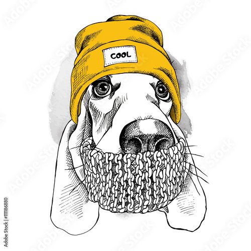 Portrait of Basset Hound dog in a Hipster hat and with scarf. Vector illustration.