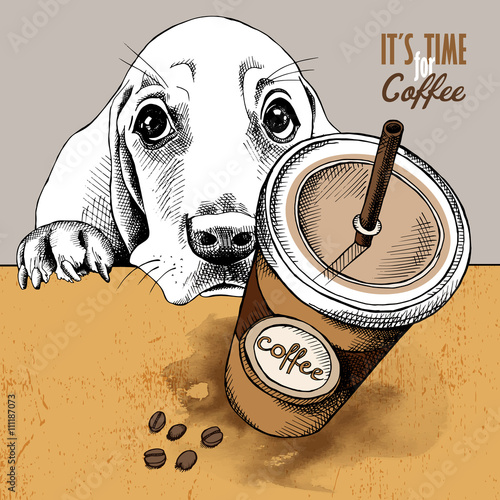Poster with the image of coffee in a plastic cup and a portrait a Basset Hound dog. Vector illustration.