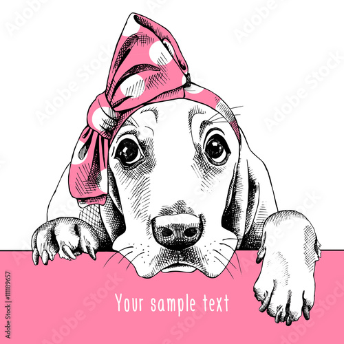 The image Portrait of a dog Basset Hound in the headband. Vector illustration.